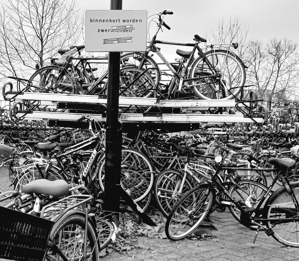 Bicycles by bvh