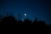 31st Jan 2023 - Morning moon