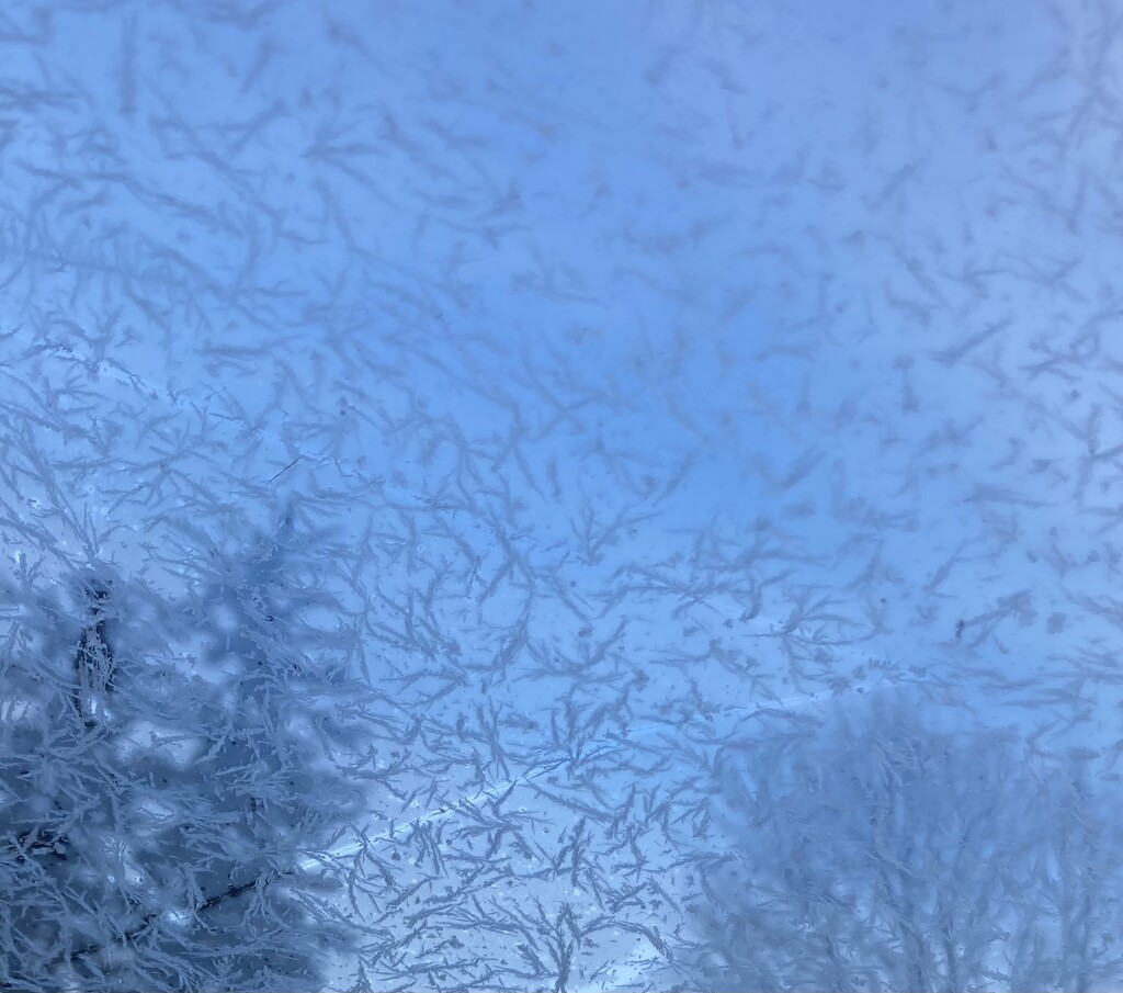 Frost through the windshield by mltrotter