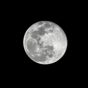 31st Jan 2023 - Full moon Jan 2023