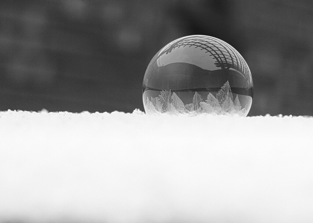Frozen Bubbles by judyc57