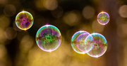 31st Jan 2023 - Bubbles Floating in Air!