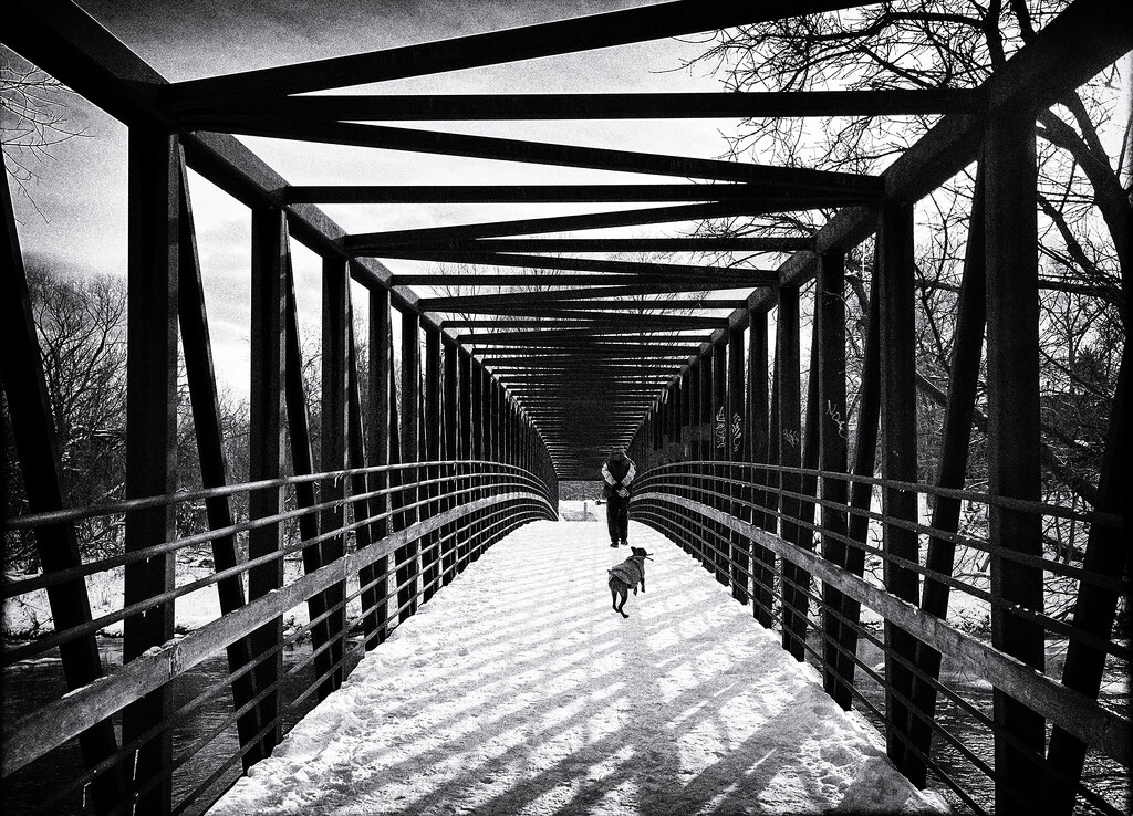 Raymore Bridge Toronto  by pdulis
