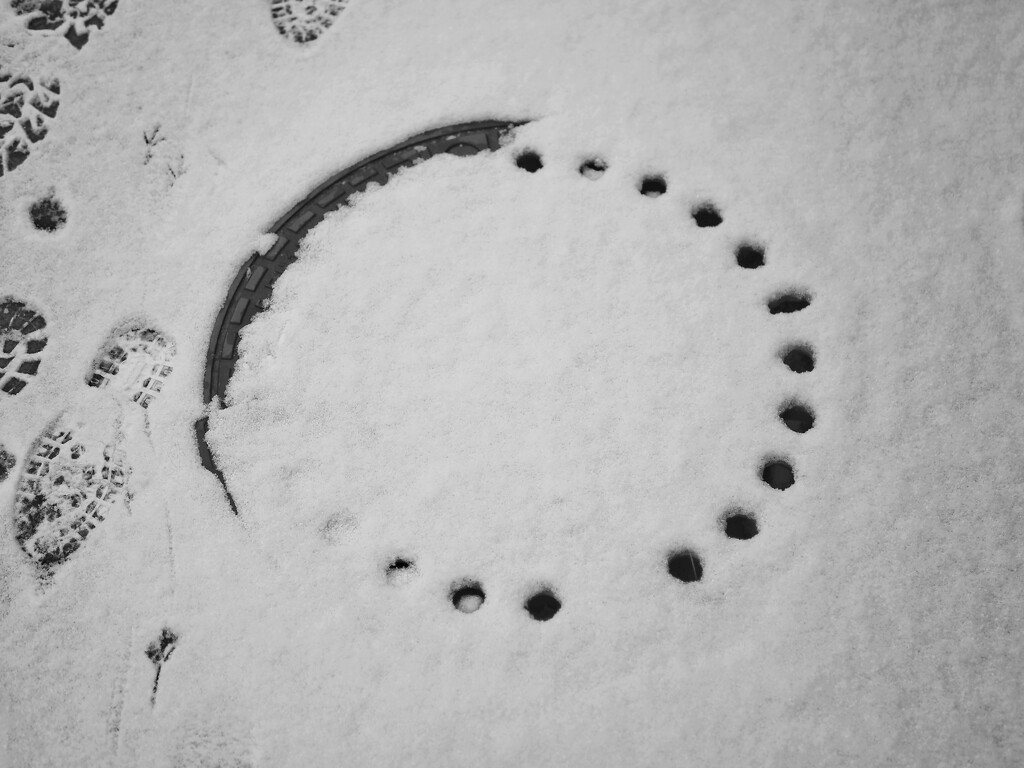 Circles in the snow by monikozi