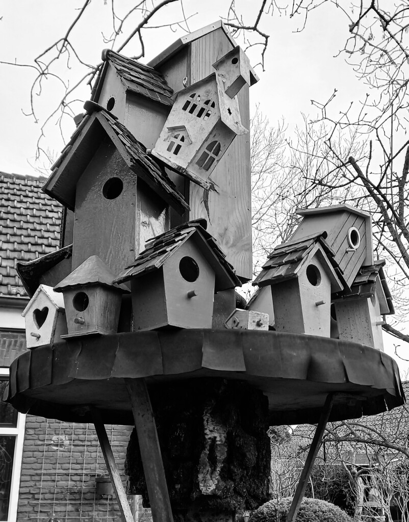 Birdhouses by bvh