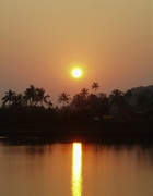 30th Jan 2023 - Goan sunset