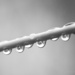 droplets... 