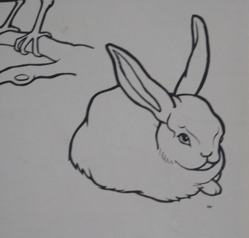 blurry rabbit by anniesue