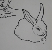 1st Feb 2023 - blurry rabbit