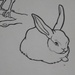 blurry rabbit by anniesue