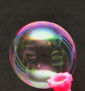 1st Feb 2023 - bubble