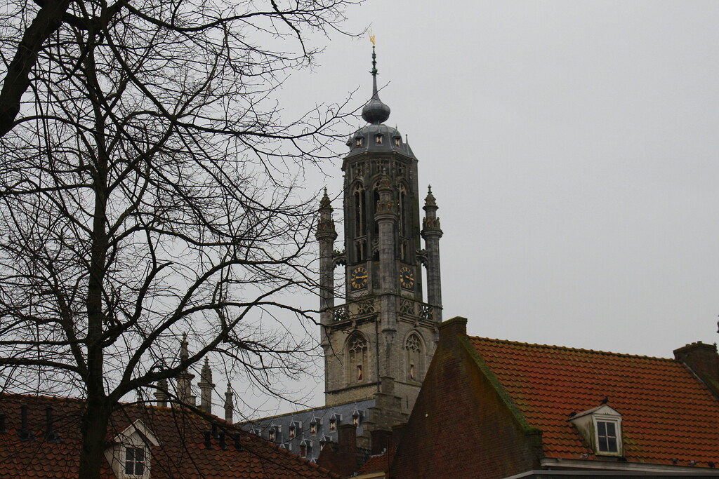 Middelburg Town Hall tower ``Malle Betje`` by pyrrhula