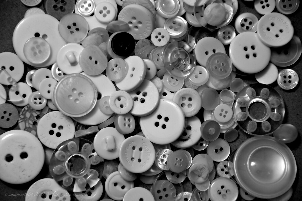 buttons!  by summerfield