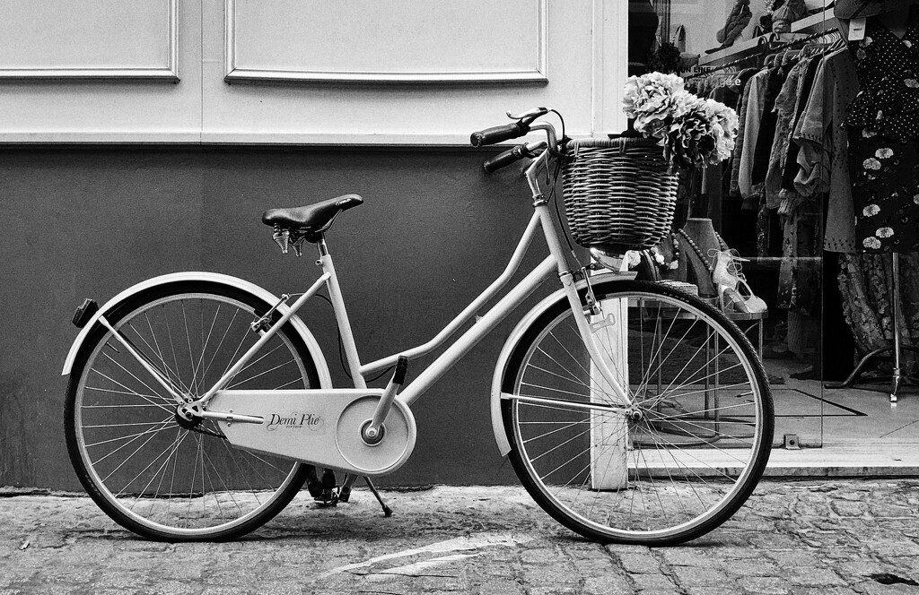 bicycle by brigette