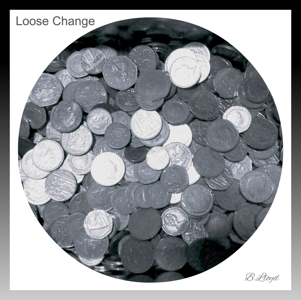 Loose change by beryl