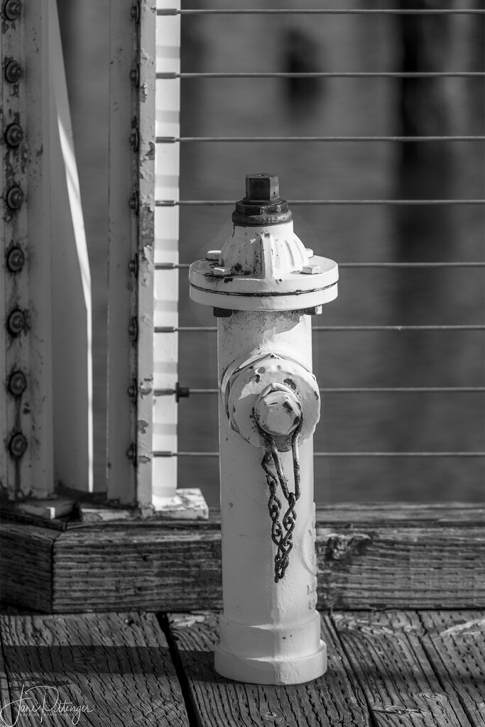 Hydrant  by jgpittenger