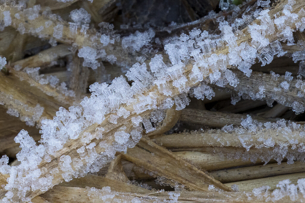 Ice Crystals  by jgpittenger