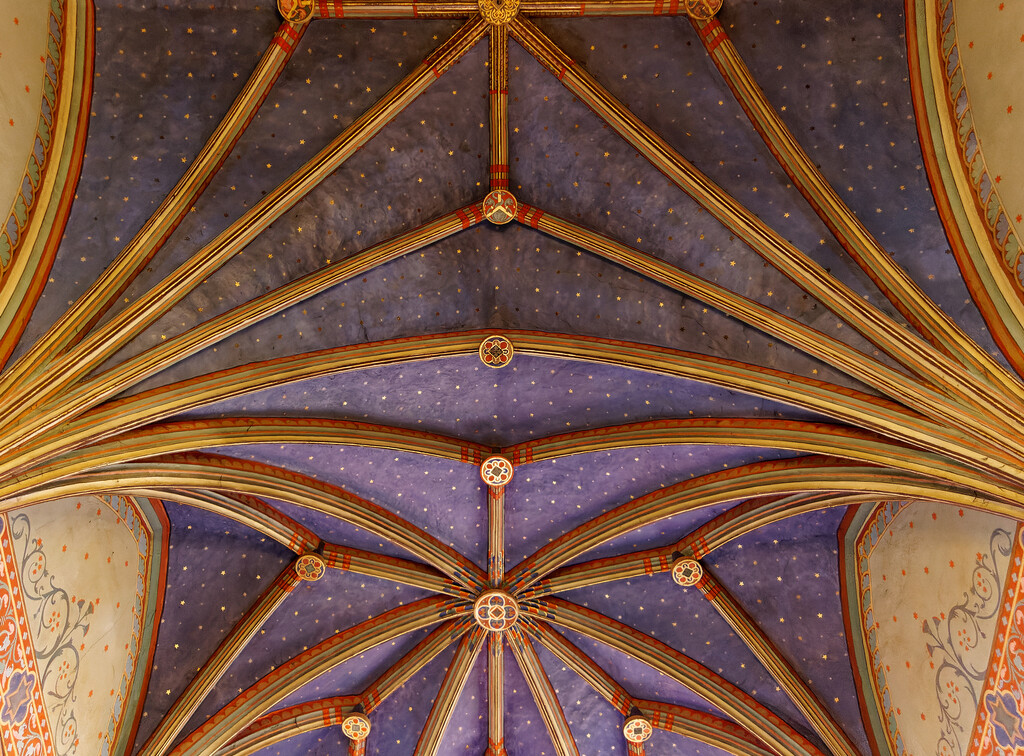 0201 - Church ceiling, Navarrenx, France by bob65