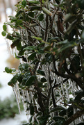 2nd Feb 2023 - Icicles on the plants