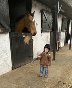 2nd Feb 2023 - Nico at the stables!