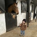 Nico at the stables!