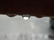 2nd Feb 2023 - Rain Droplet on Railing 