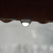 Rain Droplet on Railing  by sfeldphotos