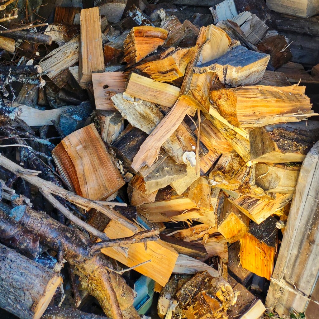031 - WoodPile by charliem_98
