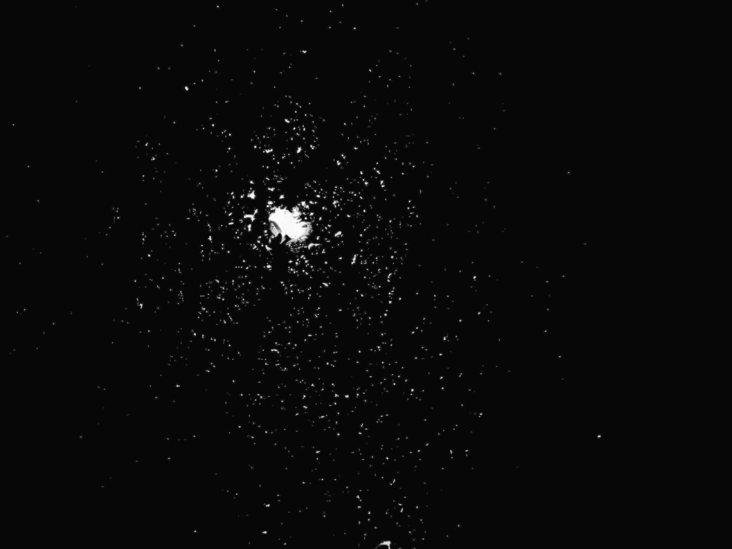 Nebula by grammyn