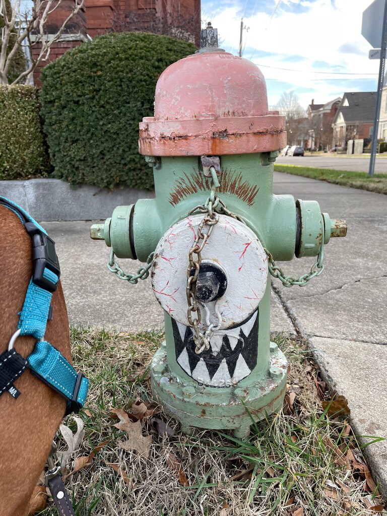 Fire hydrant by margonaut
