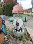 17th Jan 2023 - Fire hydrant
