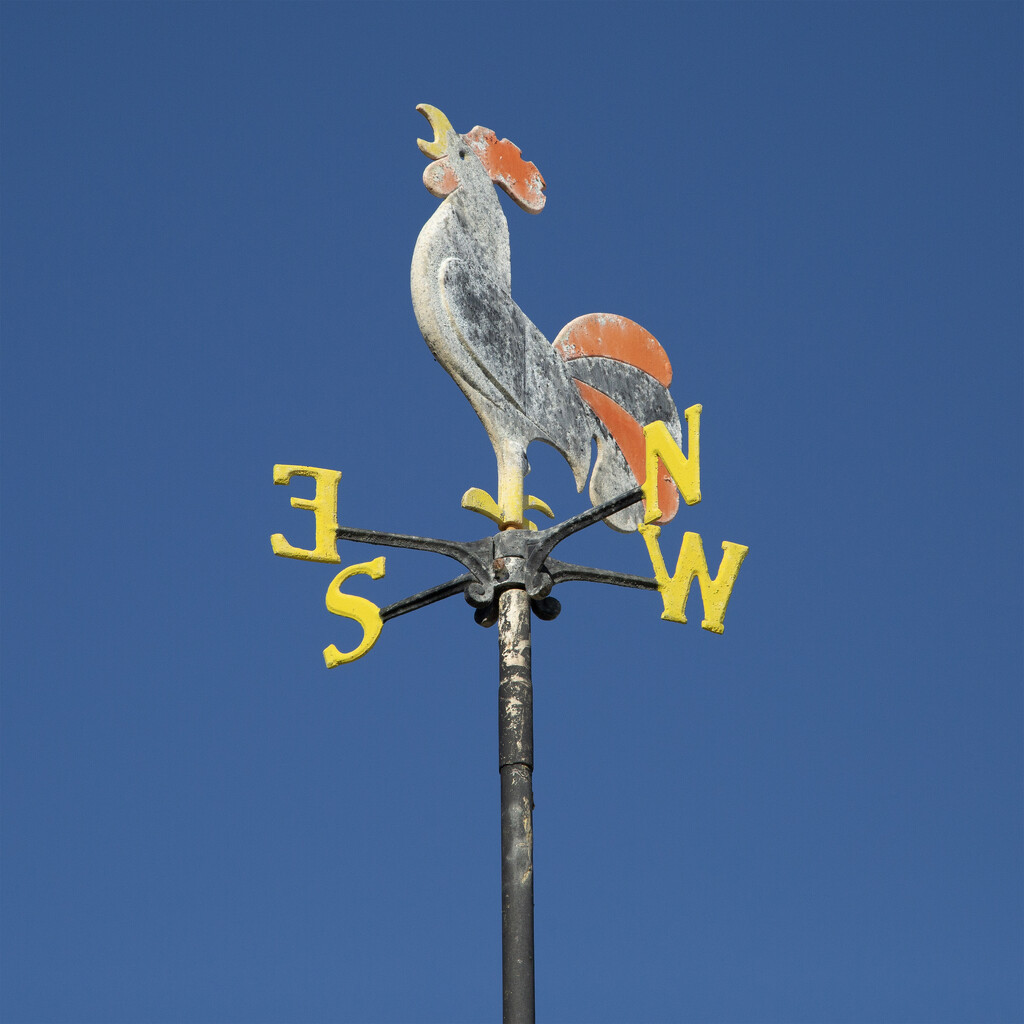Weather Vane  by bugsy365