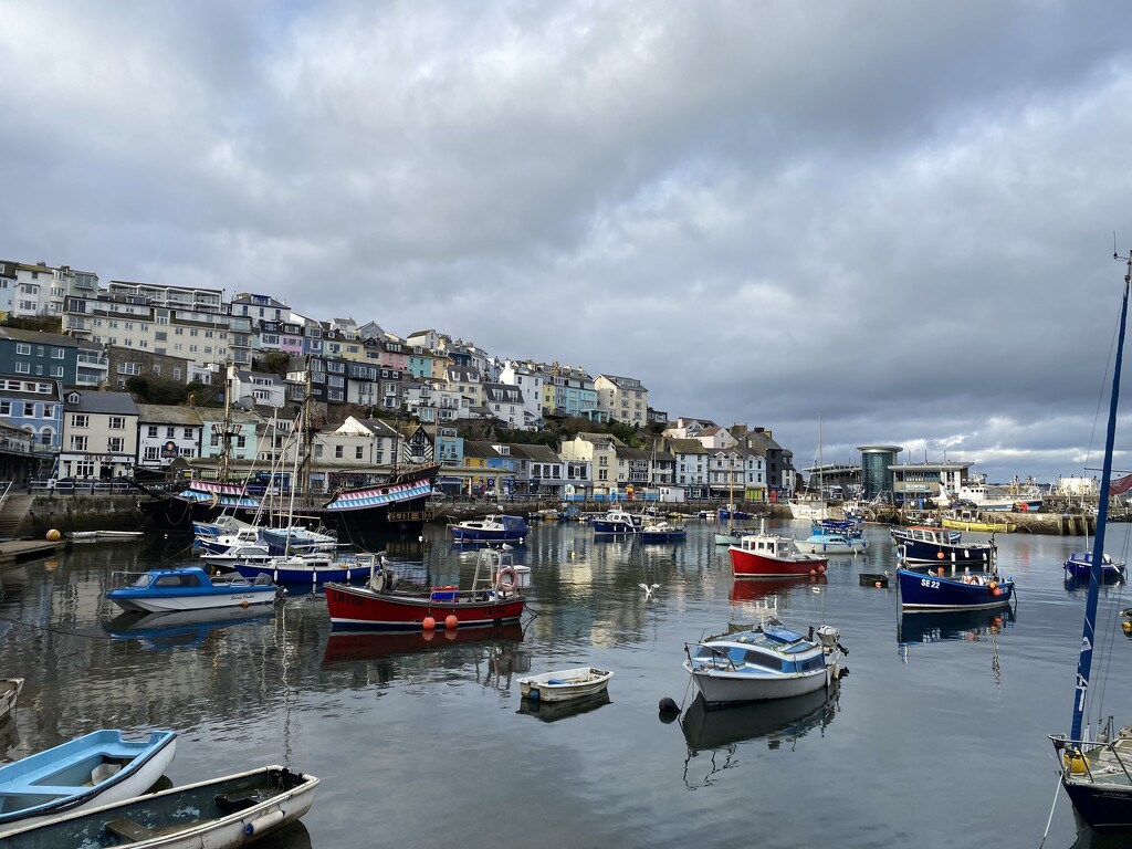 Brixham Harbour by gillian1912