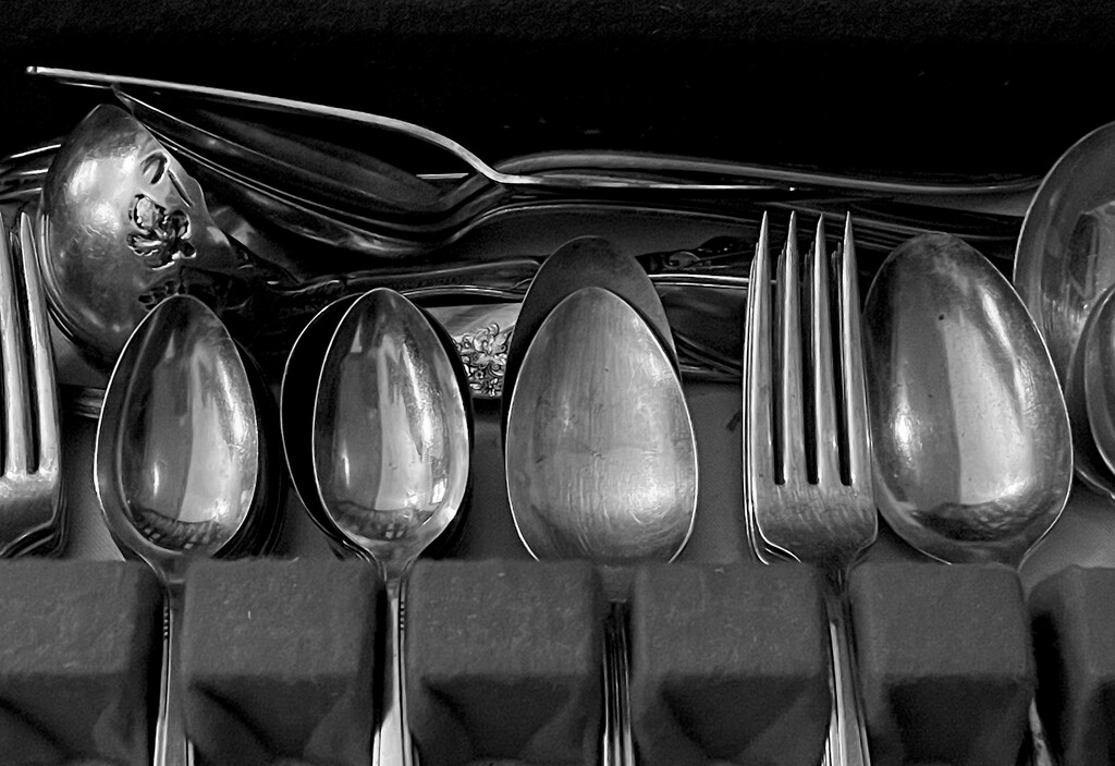 Forks and Spoons and Fancy Stuff  by mcsiegle