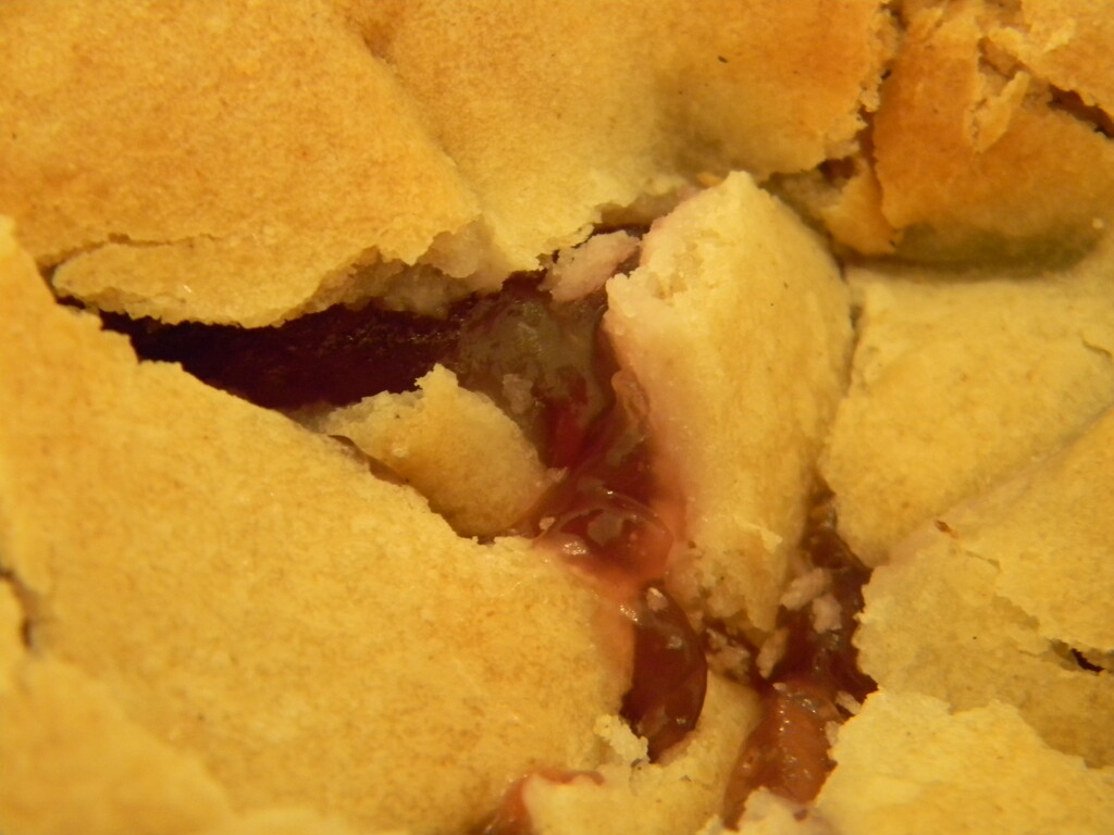 Cherry Pie Closeup  by sfeldphotos