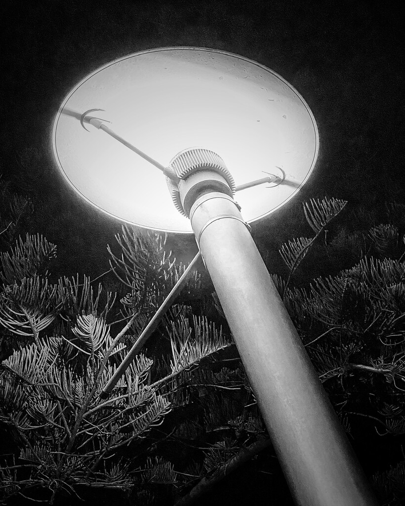 A circle in  black and white in the street light outside my house!!! by johnfalconer