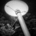 A circle in  black and white in the street light outside my house!!! by johnfalconer
