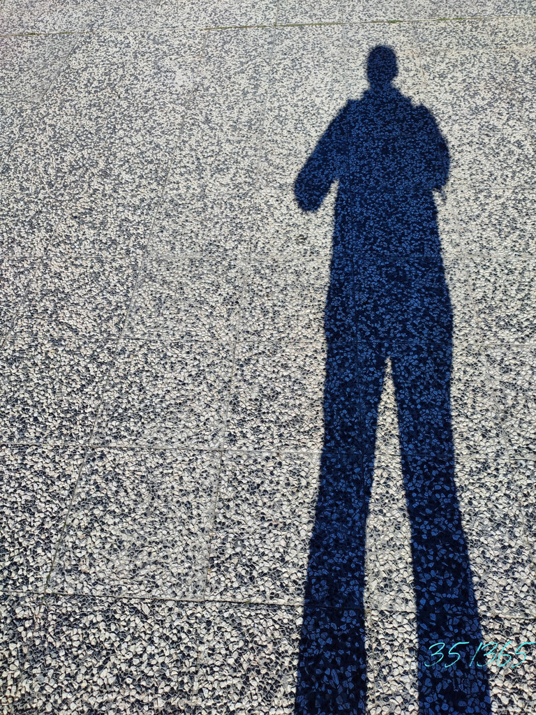 My shadow by franbalsera