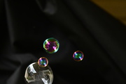 4th Feb 2023 - bubbles and more