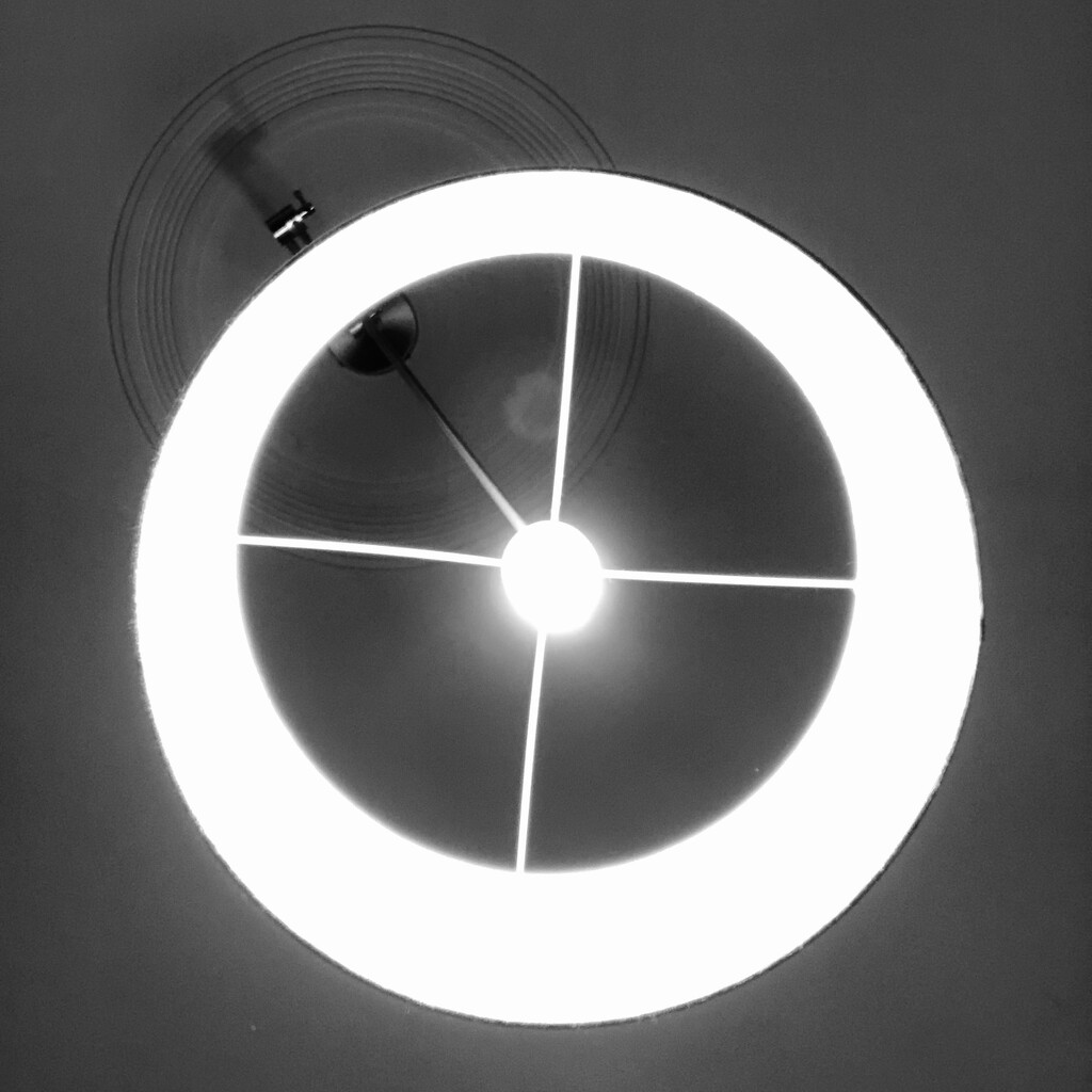 A circle of light by jacqbb