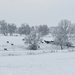 Cattle on a Snowy Pasture by kareenking
