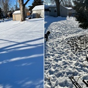 3rd Feb 2023 - Neighbors yards vs my yard