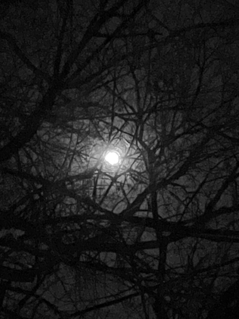 2/4 Full Moon by mcsiegle