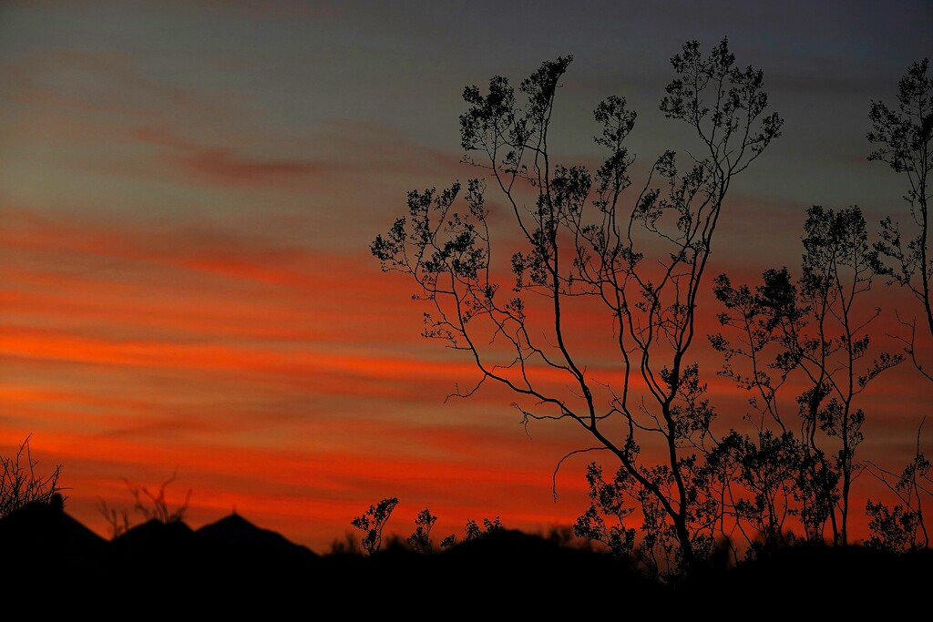 Sunset along Hwy 87 by sandlily