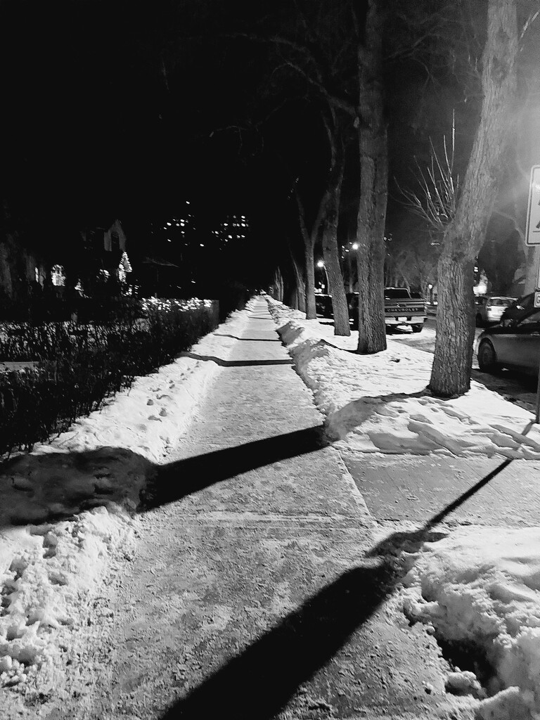 Edmonton In Black and White....A Beautiful Winter Night In The Neighborhood  by bkbinthecity