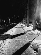 4th Feb 2023 - Edmonton In Black and White....A Beautiful Winter Night In The Neighborhood 