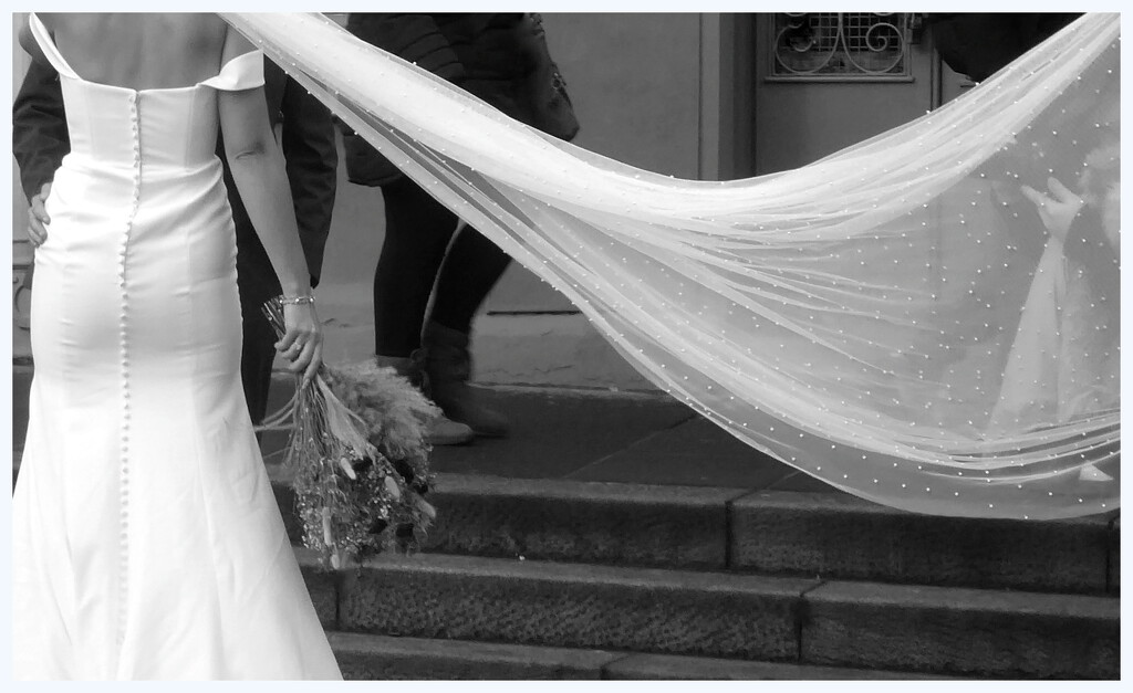Bride by steveandkerry