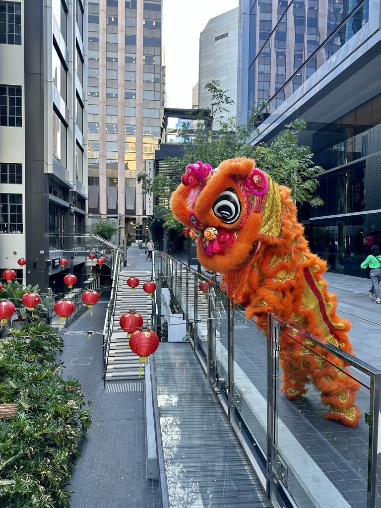 Chinese New Year decorations  by nicolecampbell