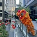 Chinese New Year decorations  by nicolecampbell