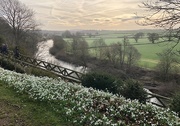 5th Feb 2023 - Snowdrops and the River Wye
